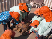移動動物園6