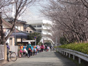 お別れ遠足11